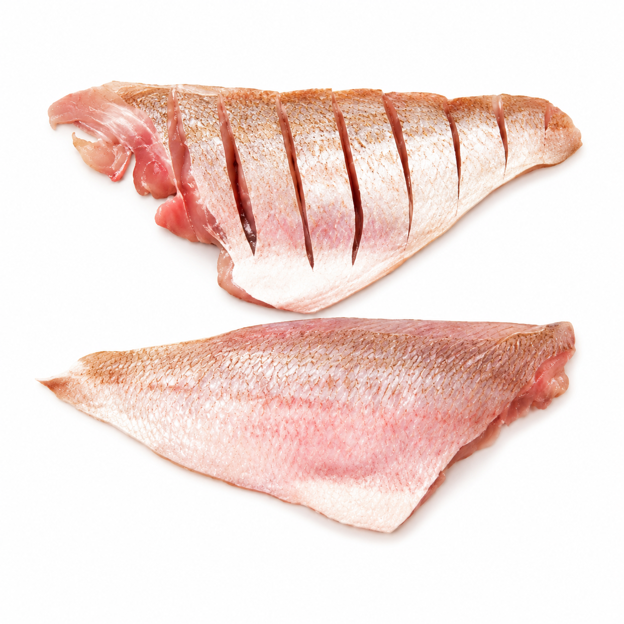 Fresh Silvers Fillited Rdw 10Kg (KG)  [FIS131]