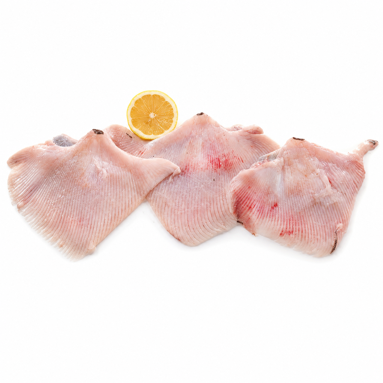 Fresh Skate Wings Rdw 10Kg (KG)  [FIS049]