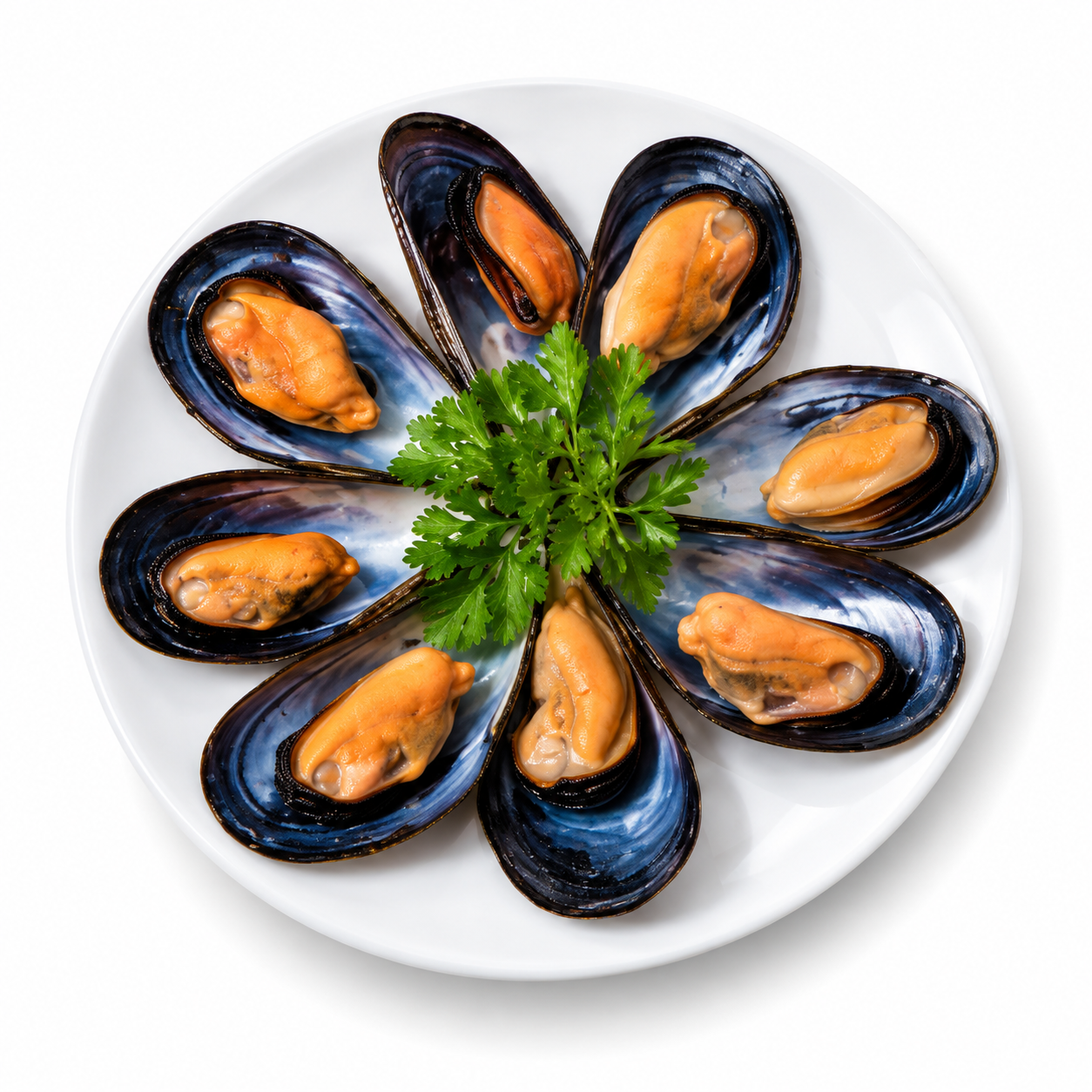 Mussel 1/2 Shell Local 800Gr (UNT)  [SEA035]
