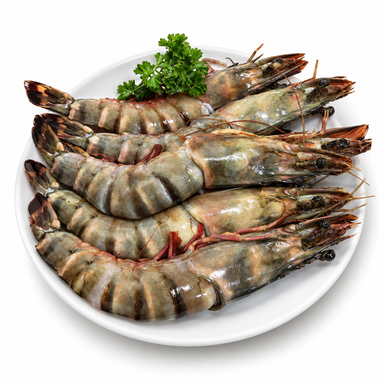 Prawn Tiger Black 6-8 700Gr (UNT)  [SEA232]