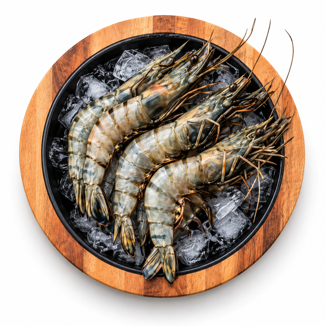Prawn Tiger Black 16-20 800Gr (UNT)  [SEA029]