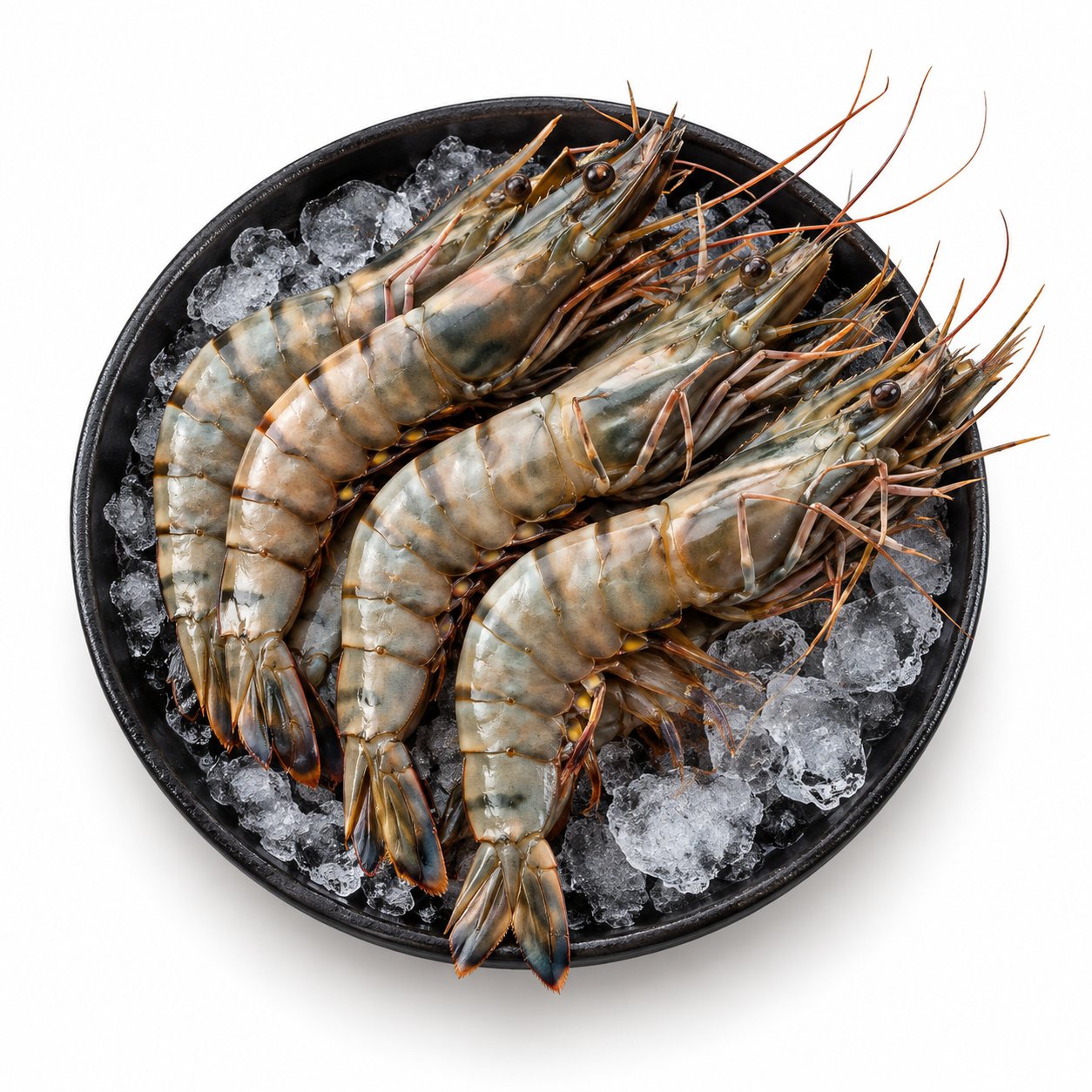 Prawn Tiger Black 8-12 700Gr (UNT)  [SEA243]