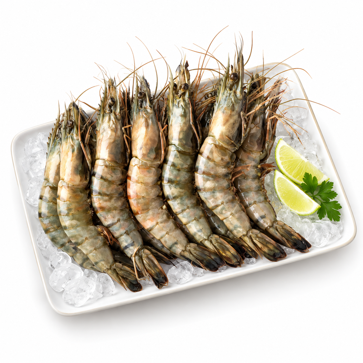 Prawn Tiger Black 2-4 800Gr (UNT)  [SEA040]