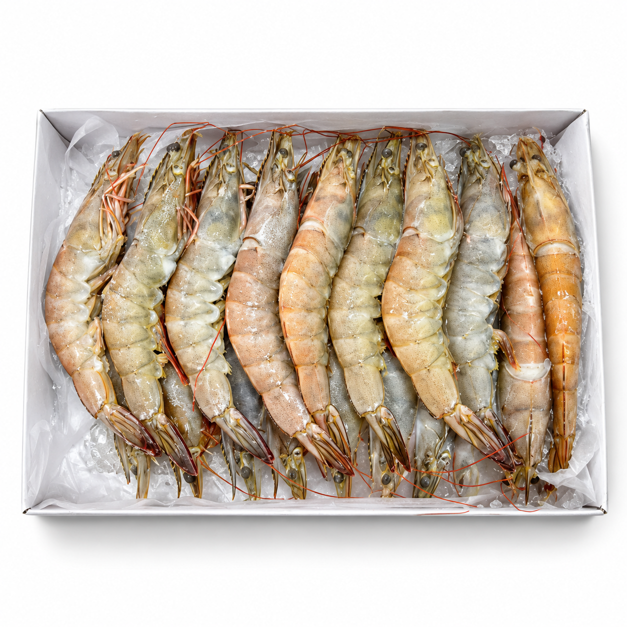 Prawns Vannamei EZP BFL Head on/Skin on 21-25 700Gr  (UNT)  [SEA089]