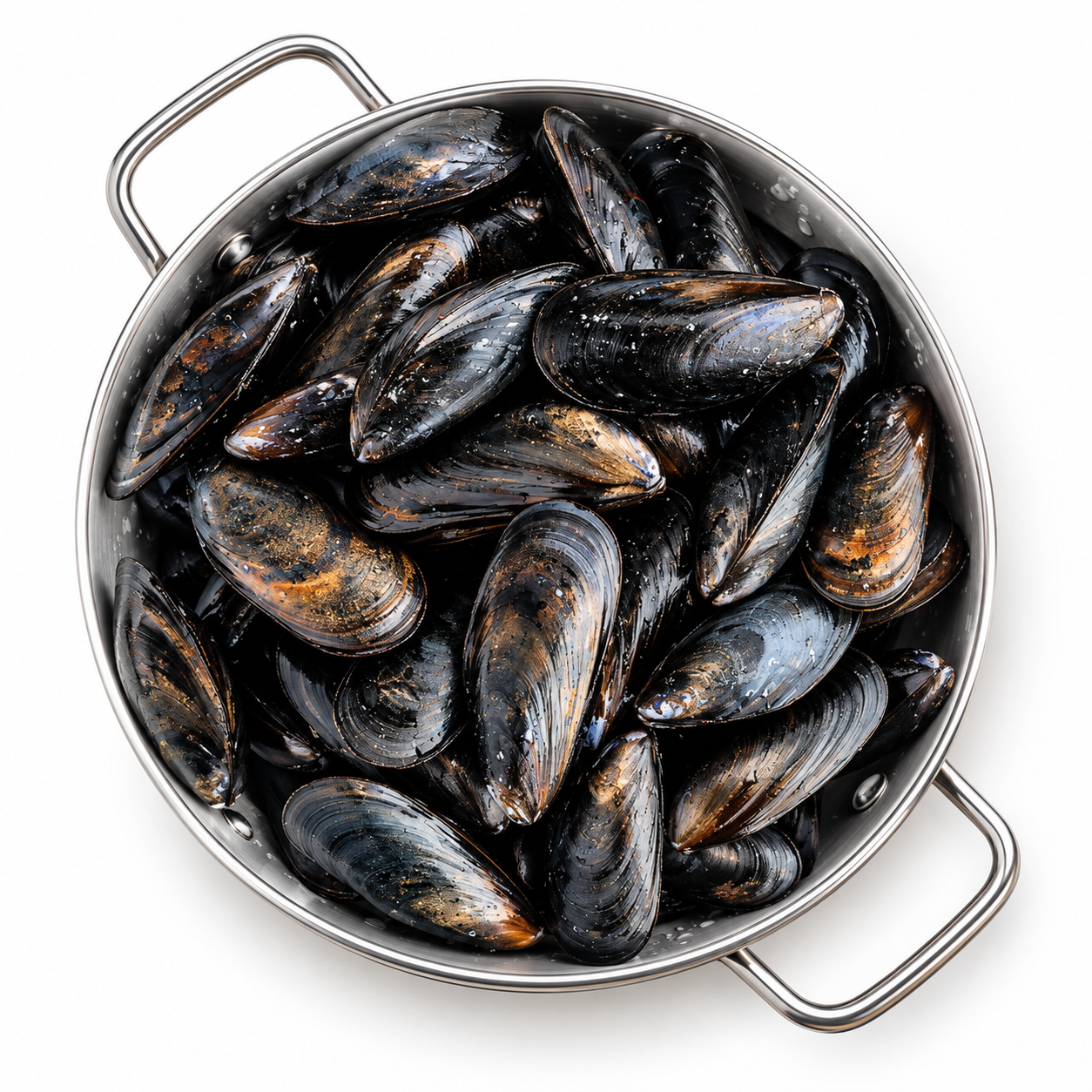 Fresh Mussels Live 5Kg  (CAS)  [SEA112]