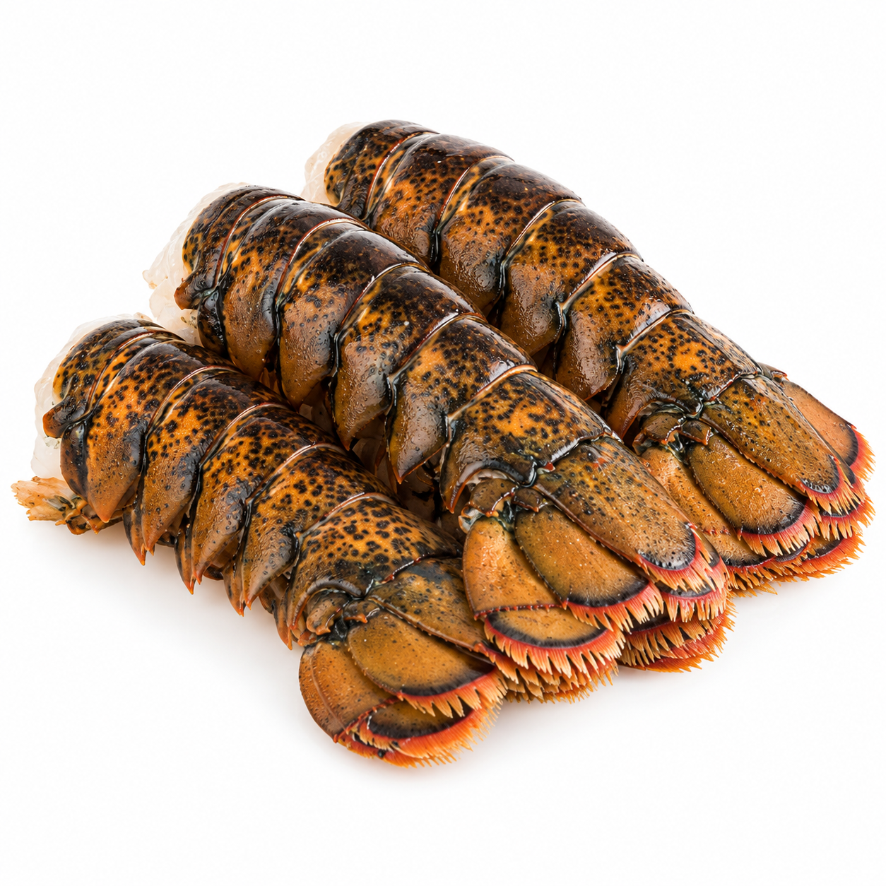 Lobster Tails South Coast Med Rdw 4.54Kg (KG)  [SEA104]