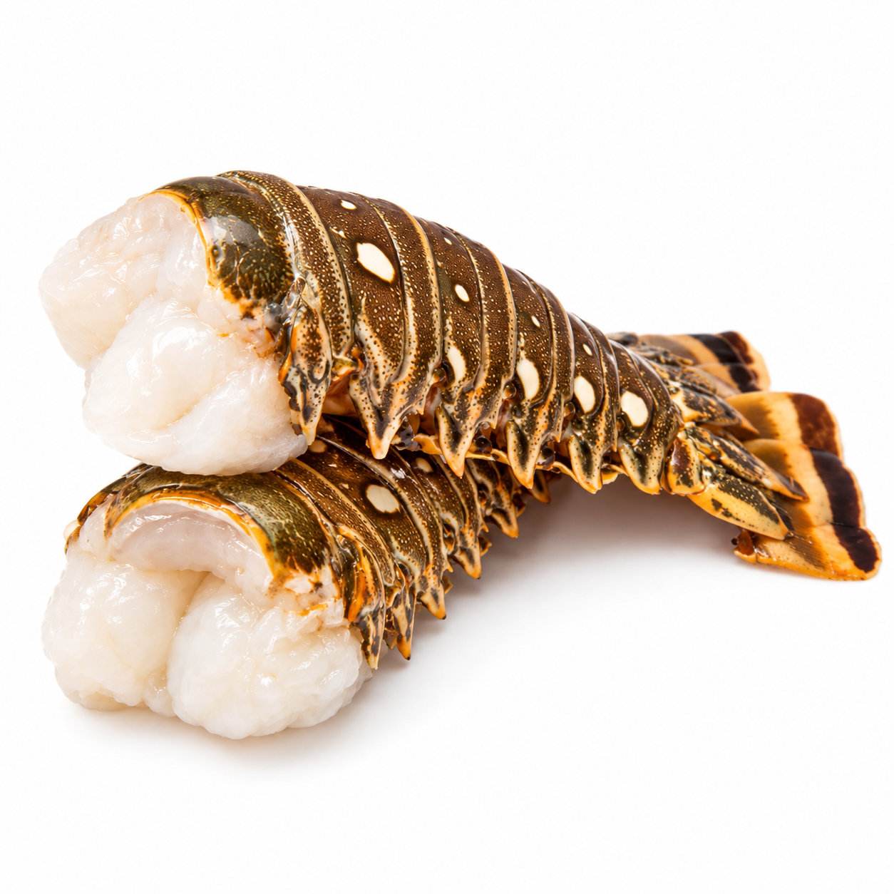 Lobster Tails Rdw 4.54Kg  (KG)  [SEA033]