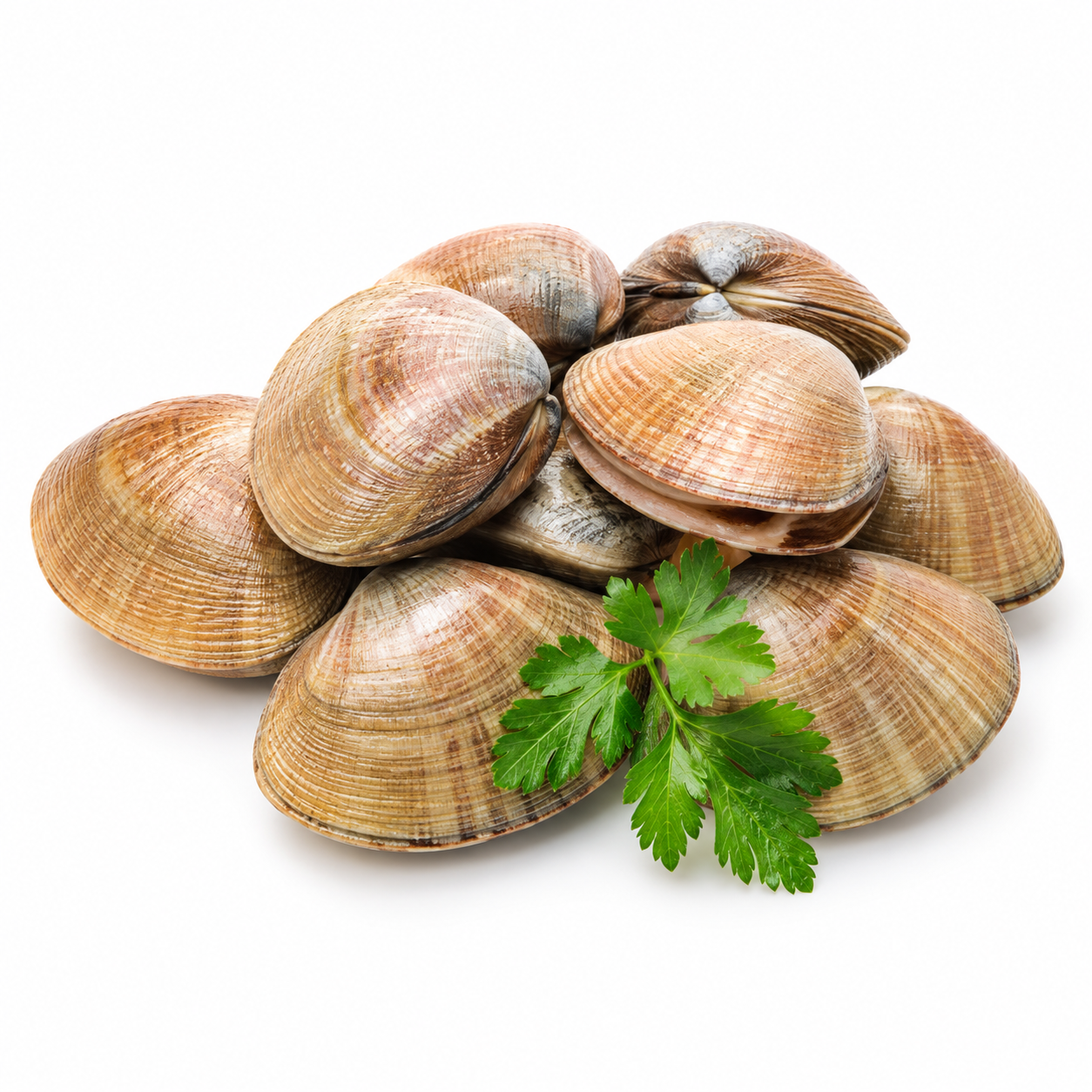 Clams Whole Shell Moz 1kg (UNT)  [SEA017]