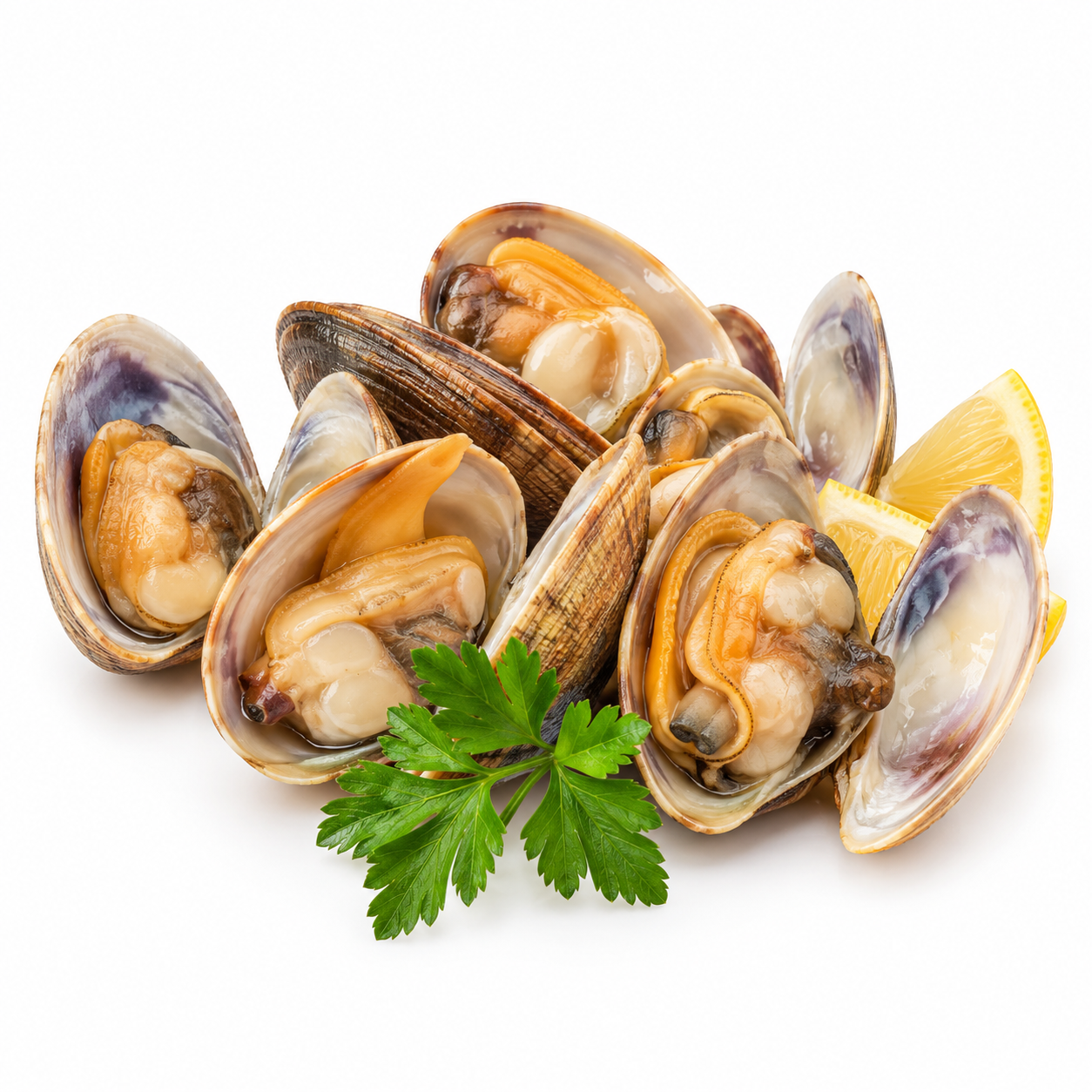 Clams Whole Cooked 500Gr (UNT)  [SEA247]
