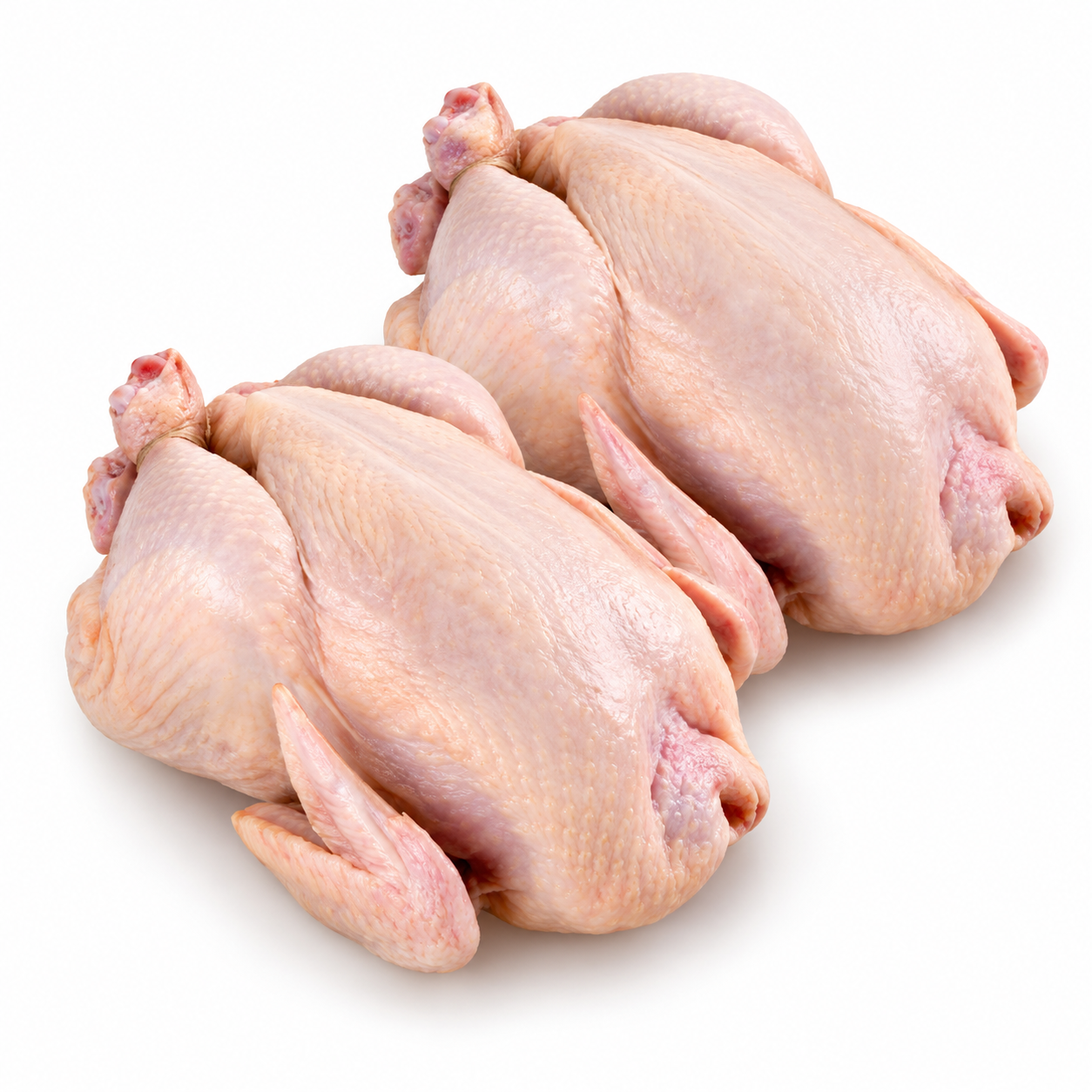 Chicken Whole Baby 600-800Gr Rdw 10Kg (KG)  [POU030]