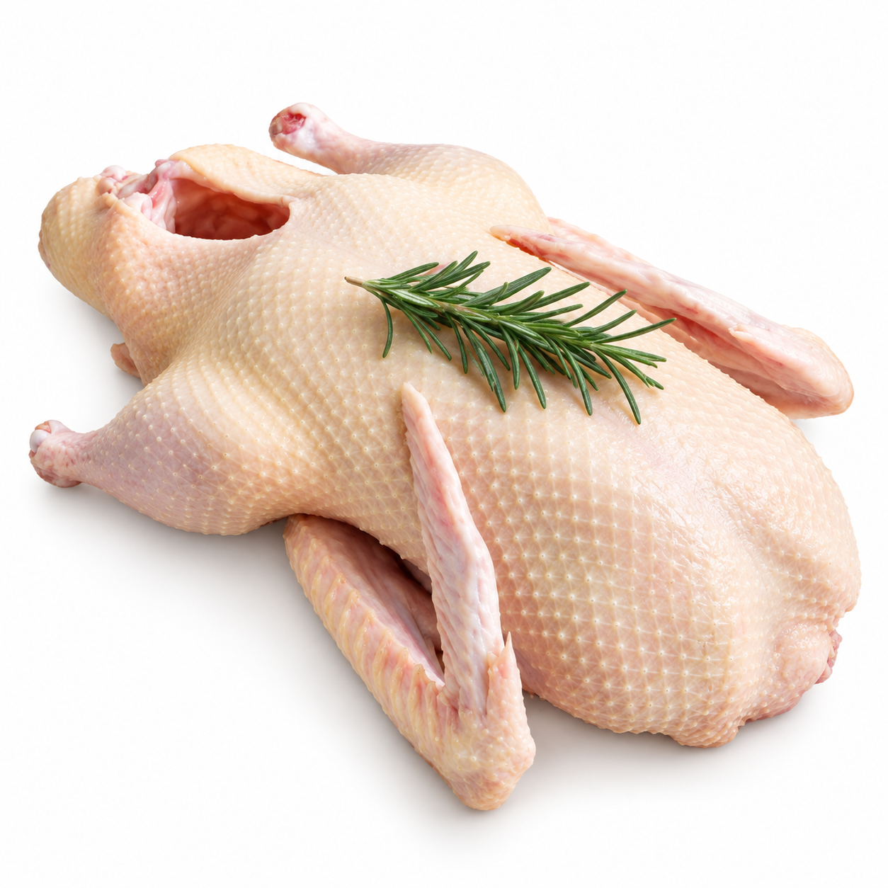 Duck Whole Rdw 20Kg  (KG)  [POU038]