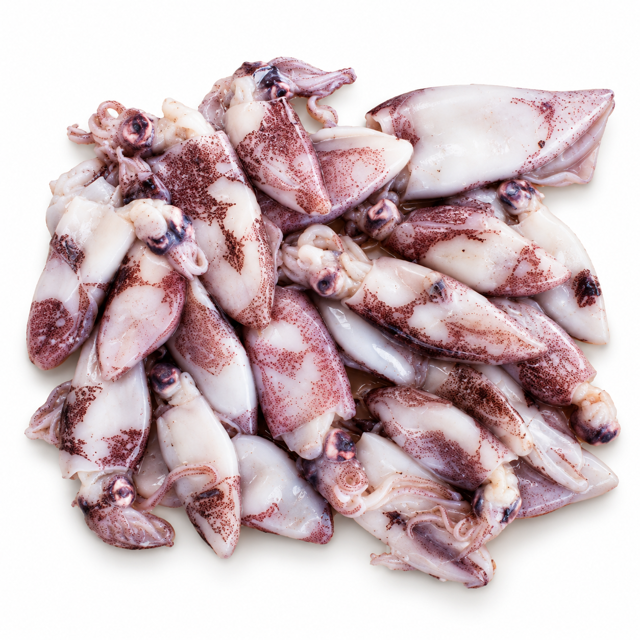 Calamari Patagonica C5 12.5Kg Rdw  (KG)  [SEA241]