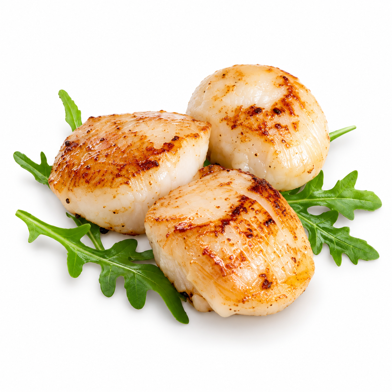 Scallop Meat Usa 800Gr (UNT)  [SEA032]