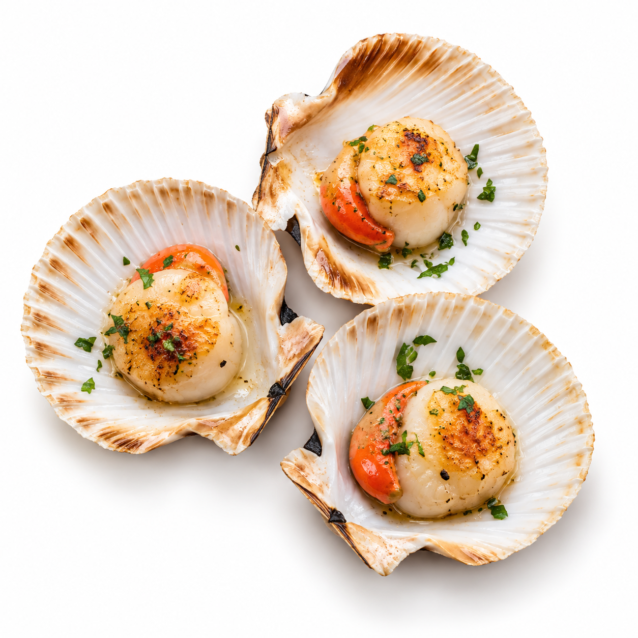 Scallop 1/2 Shell 9-10 Cm 700Gr (UNT)  [SEA094]