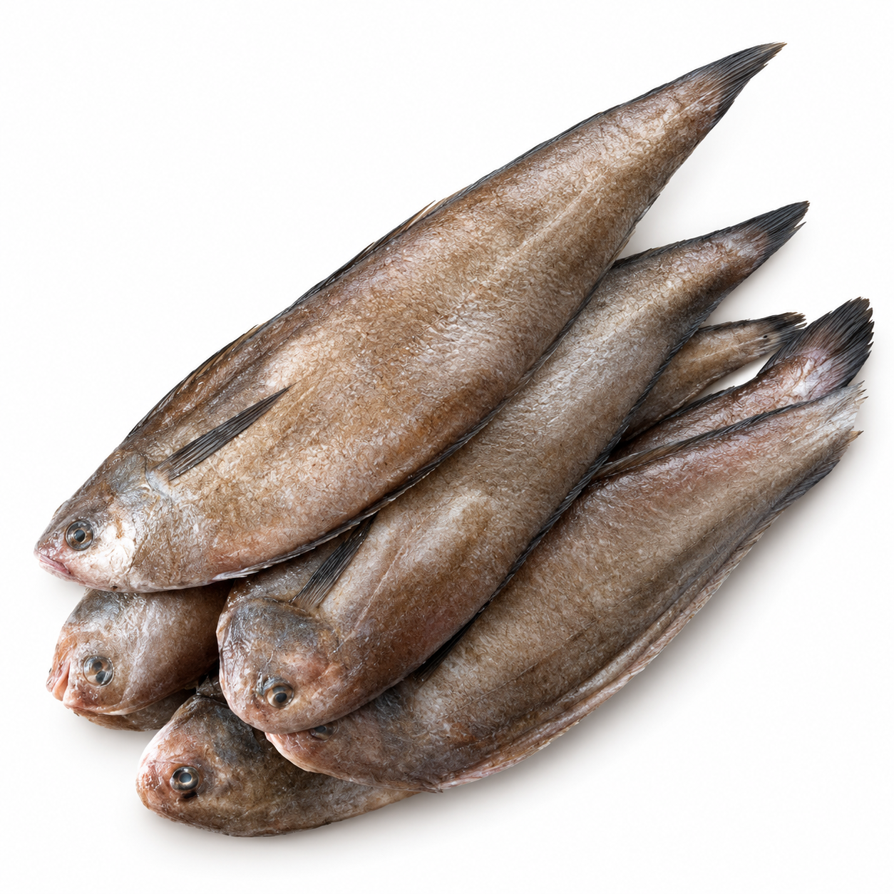 Soles Ec Small 170-200Gr 5Kg (KG)  [FIS078]