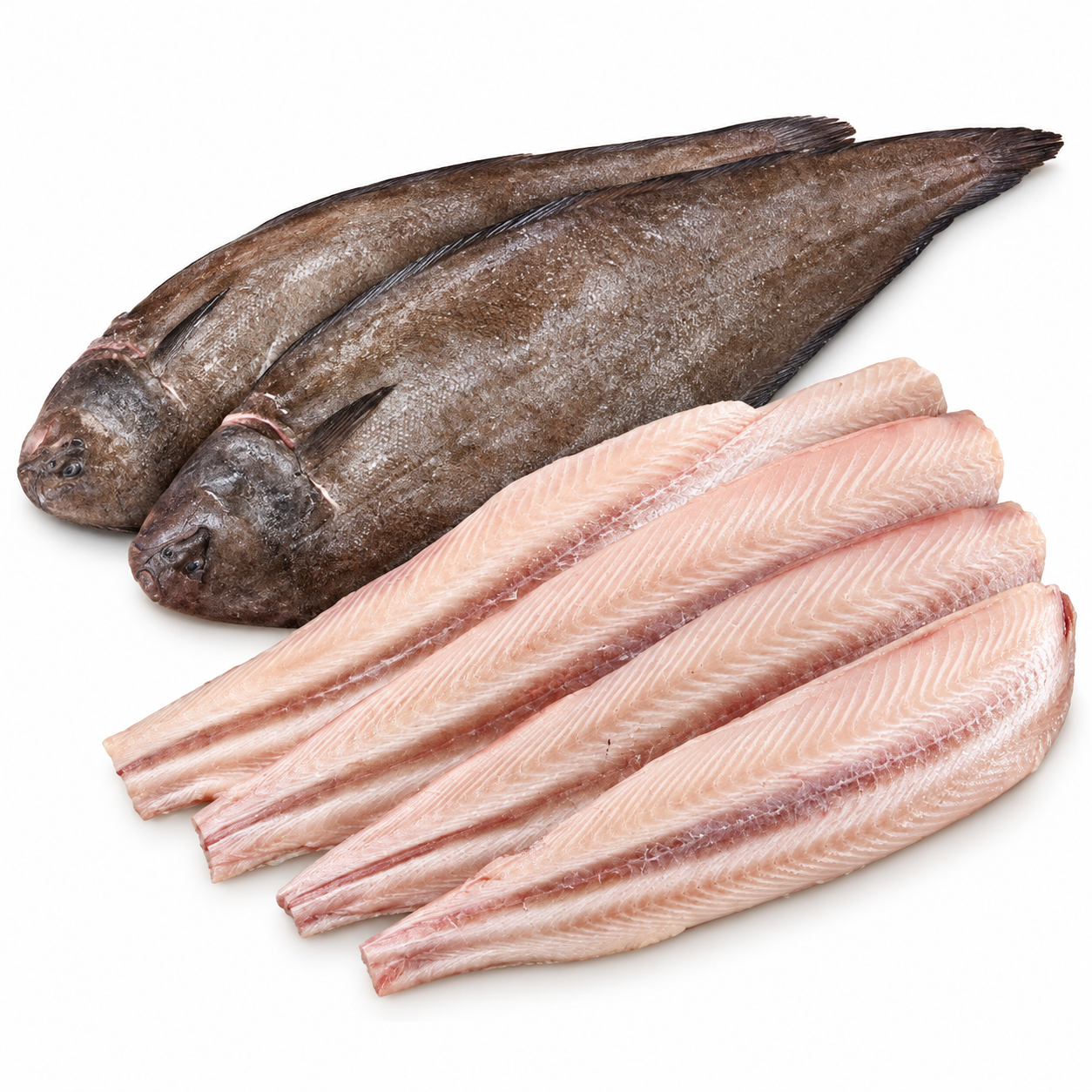 Soles WC Dress 150-180Gr Rdw 10Kg (KG)  [FIS117]