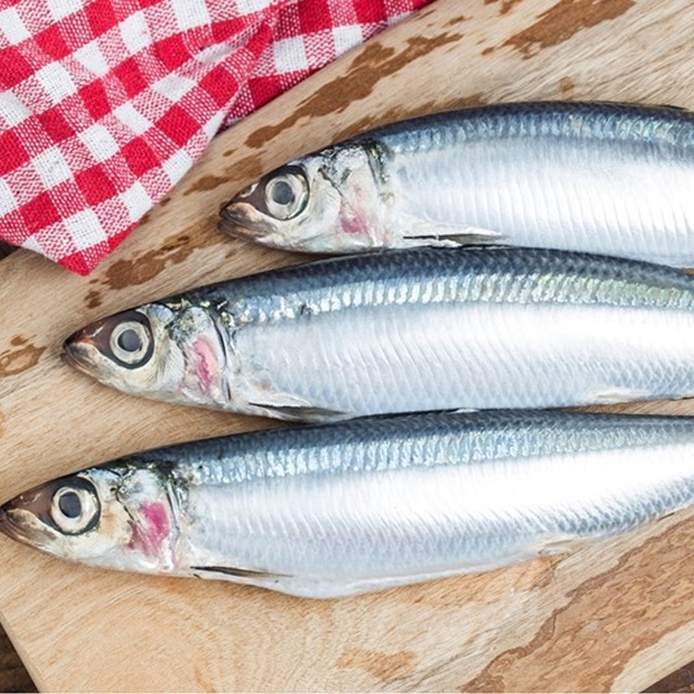 Sardines Port Mafrio 800gr (UNT)  [FIS129]