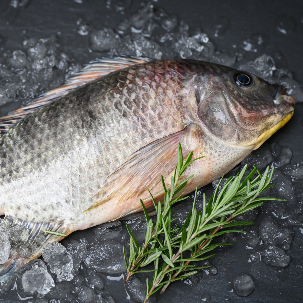 Tilapia Whole Gutted & Scaled 200-300 Rdw 10kg   (KG)  [FIS132]