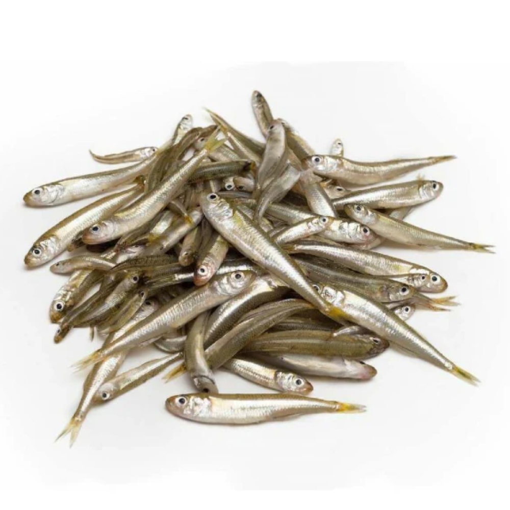 White Bait 80-120 10kg (KG)  [FIS134]