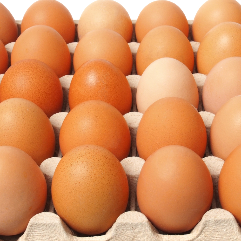Eggs Fresh Large LL 15 doz (180) (CAS)  [GRO007]