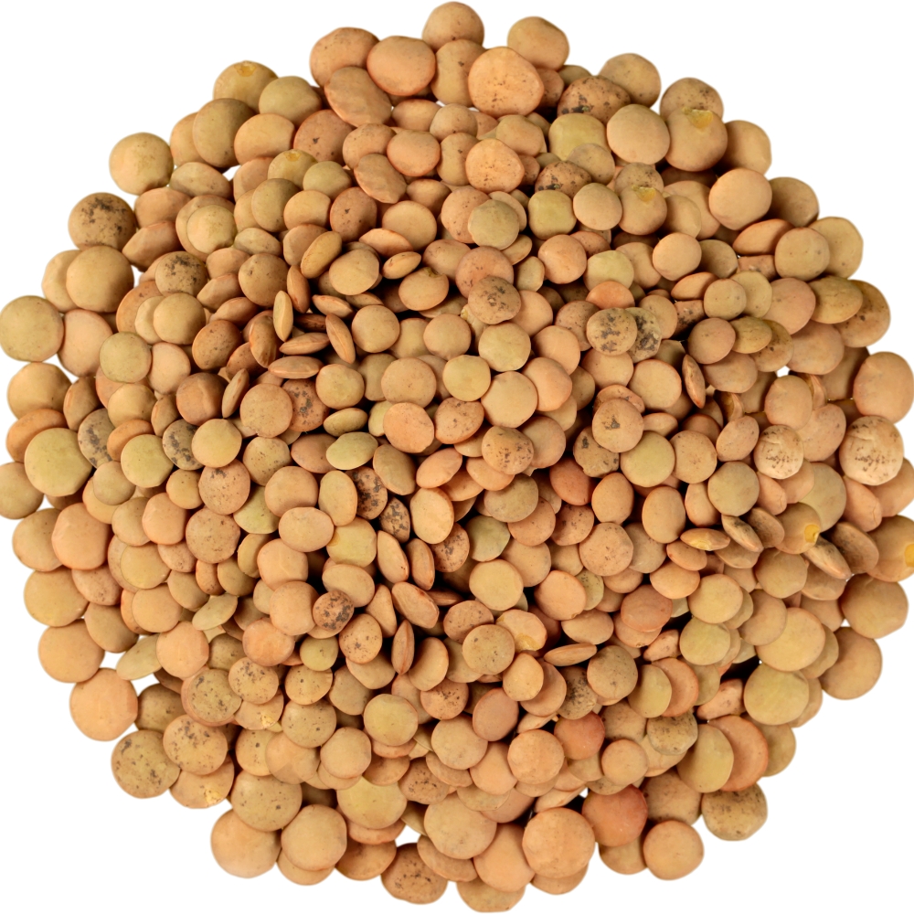 Lentils Dry Brown 1kg (UNT)  [GRO189]