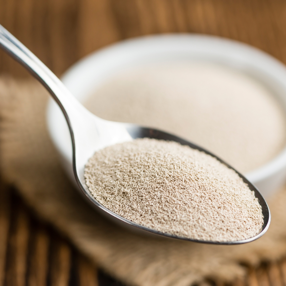 Yeast 48x10g (UNT)  [GRO226]