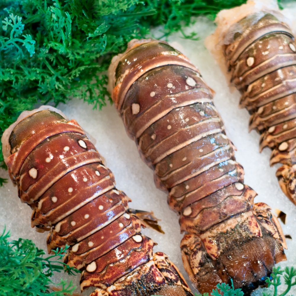 Lobster Tails Rdw 4.54kg  (KG)  [SEA033]