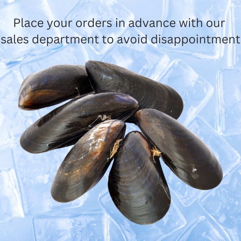 Fresh Mussels live 5kg  (CAS)  [SEA112]