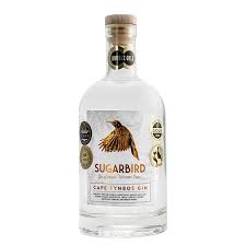TIMELESS GIN / COUPE 500ML (440237)(1208170)(12)