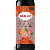 SYRUP VIDA LONGA STRAWBERRY 1L 