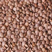 FROZEN DESSERT CHOCOLATE BROWN 120GX9 (CBR120)