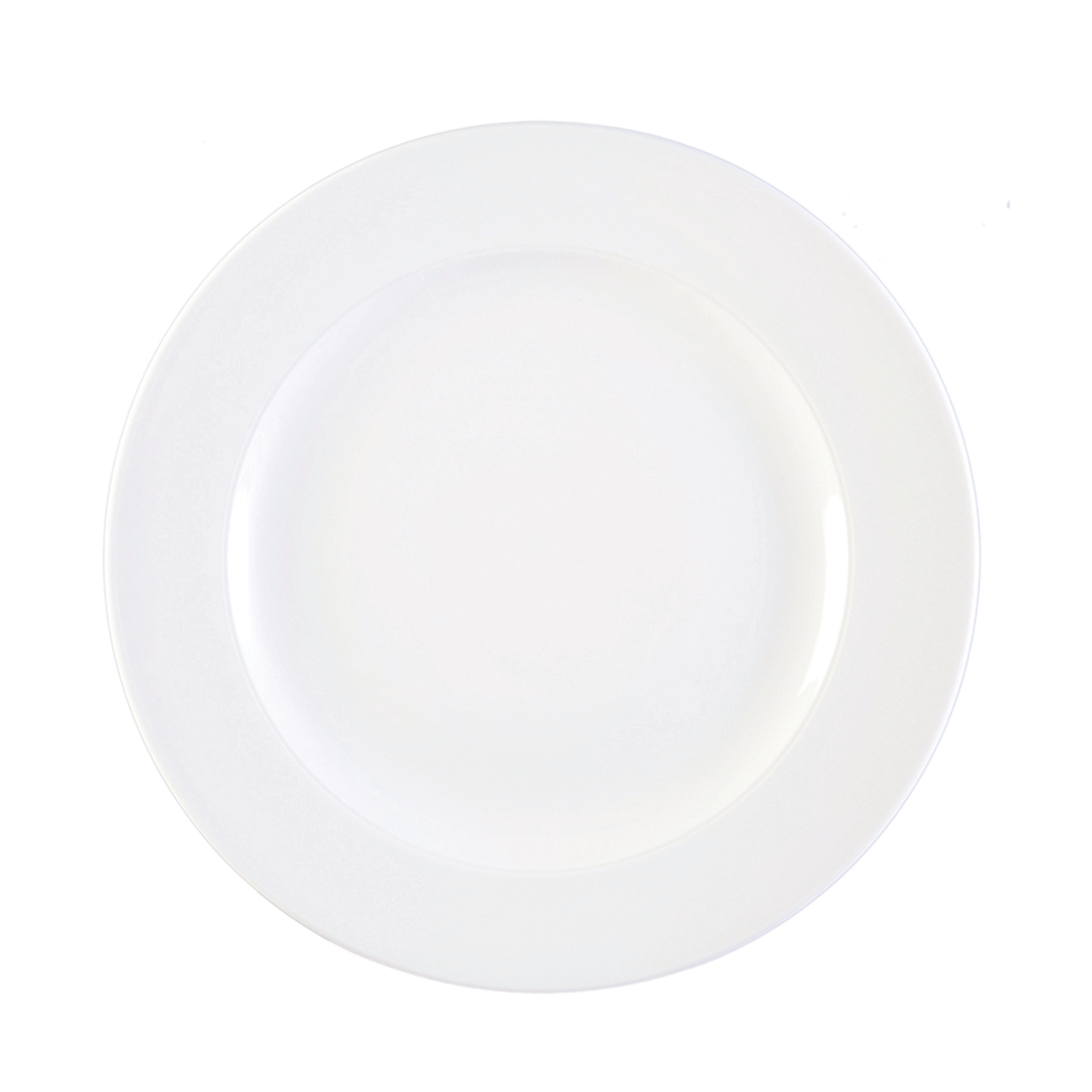 OPAL DINNER PLATE 25CM (41039) EACH