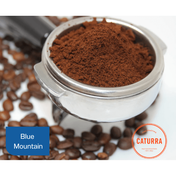 WIESENHOF FILTER BLUE MOUNTAIN (53X75G)(698547)