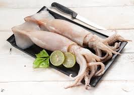 SQUID CALAMARI BOSTON RDW +-10KG