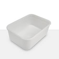 PLASTIC CONTAINER 2LT 