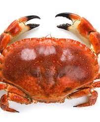 CRAB SELECTION M RDW (A501405 SABS)