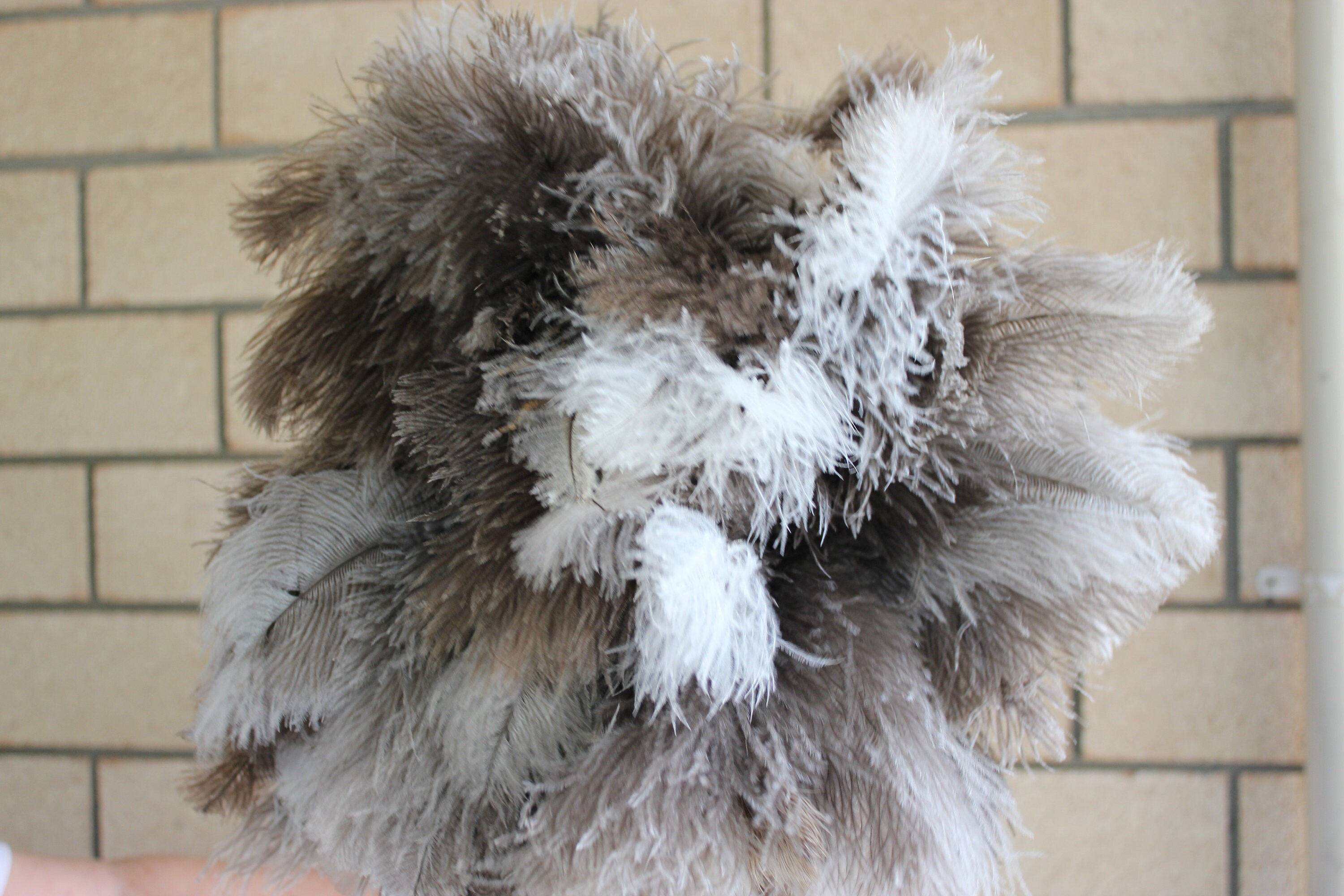 FEATHER DUSTER OSTRICH 900MM EXTRA LARGE HEAD (F9008)