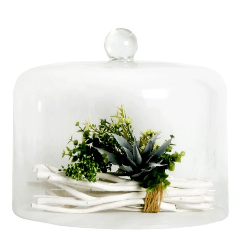 CAKE DOME IRIS GLASS 300MM H X 350MM WIDTH (KF22315)