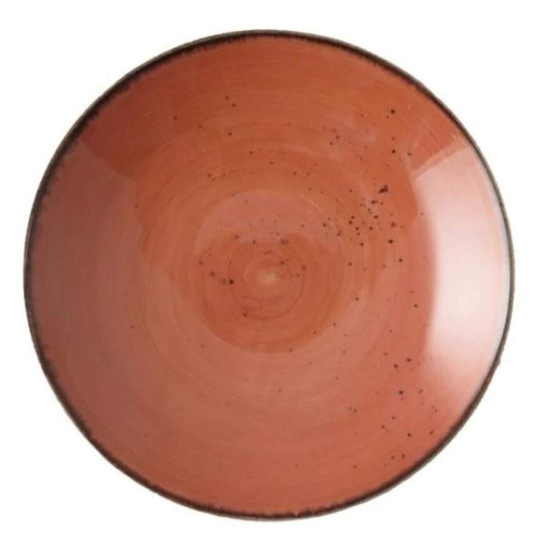 RUSTIC TERRA COUPE BOWL 25CM (29FUS342-04) (12)
