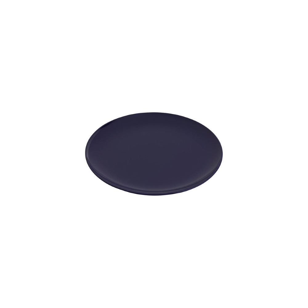 MELAMINE PLATE NAVY & WHITE 254MM (28400)