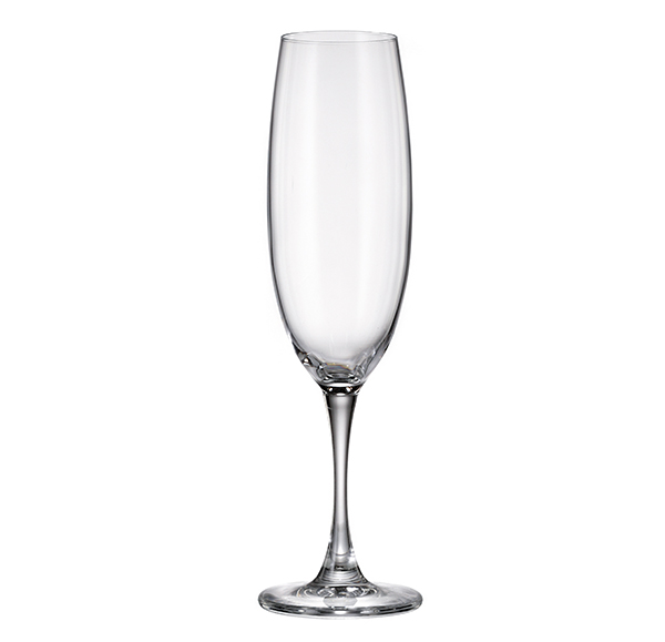 ROYALEX BANQUET FLUTE 215ML (RX57010)(12)