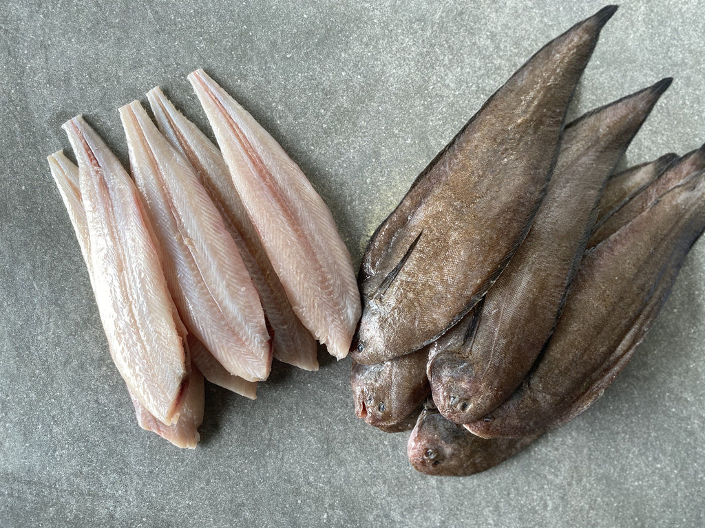 SOLE FLATHEAD DRESSED(330/360) 5.18KG (A012731)