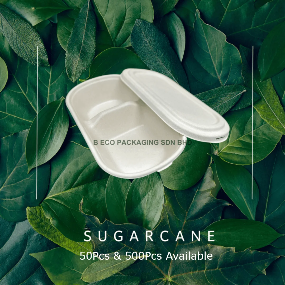 BIODEGRADABLE TWO COMPARTMENT LUNCH BOX 500PCS/CTN