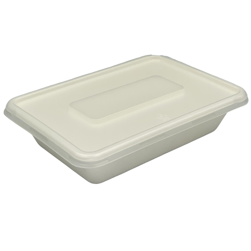 BIODEGRADABLE SUGAR CANE MEAL CONTAINER 500ML (125)