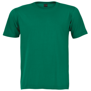 T-SHIRT CREW NECK 145G EMERALD MEDIUM (TST145B)