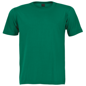 T-SHIRT CREW NECK 145G EMERALD SMALL (TST145B)