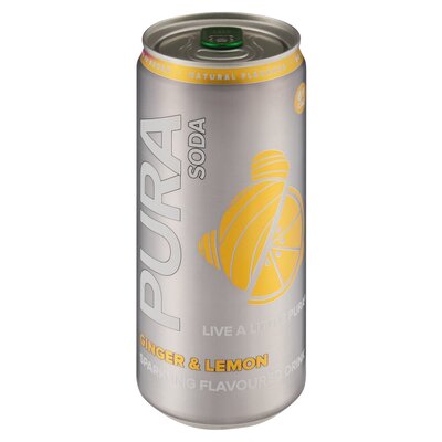 Pura Soda Ginger & Lemon 24x300ml [Approx. Weight 1.000000]