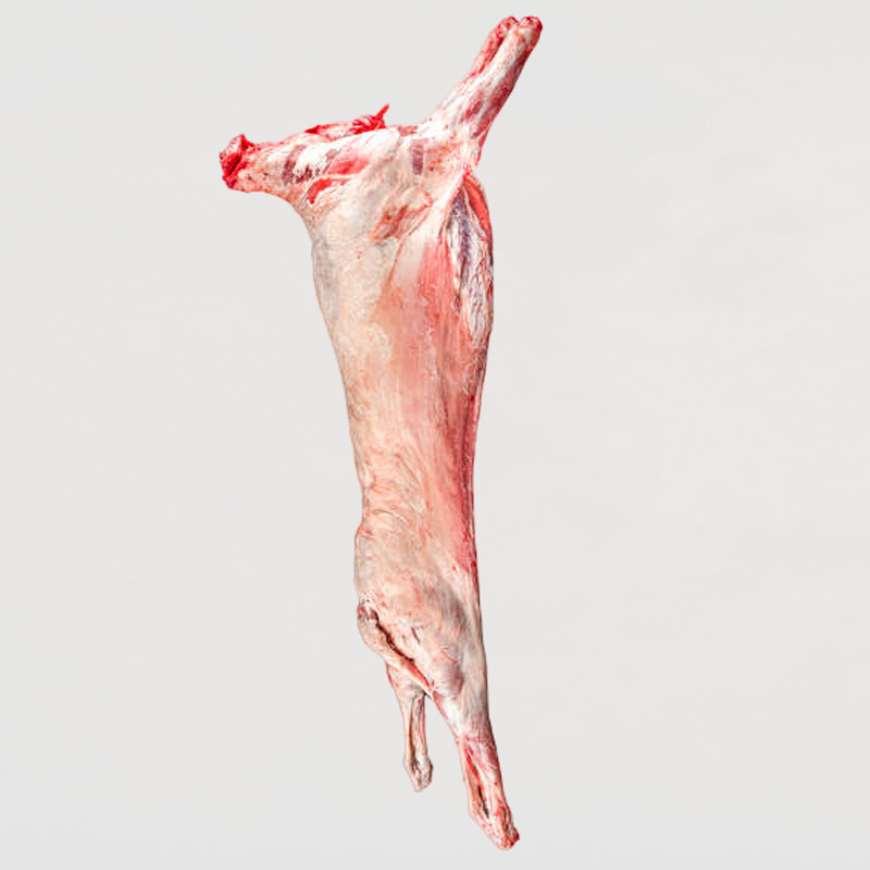 SHEEP MUTTON WHOLE AB3 RDW