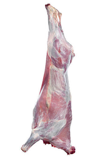 VEAL WHOLE CARCASS RDW